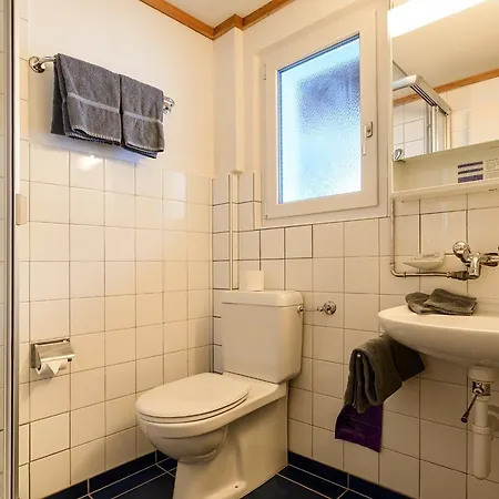 Ξενοδοχείο Jungfrau Lodge, Swiss Mountain 3*