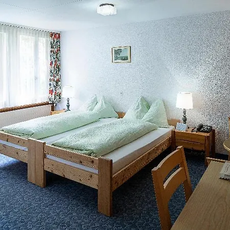 Ξενοδοχείο Jungfrau Lodge, Swiss Mountain