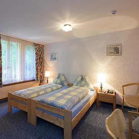 Otel Jungfrau Lodge, Swiss Mountain