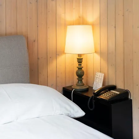 Otel Jungfrau Lodge, Swiss Mountain