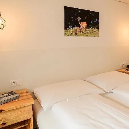Jungfrau Lodge, Swiss Mountain Otel 3*